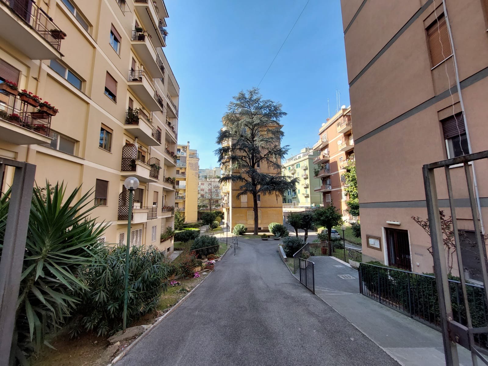 Garbatella Via R.R.Garibaldi 50 — foto 3