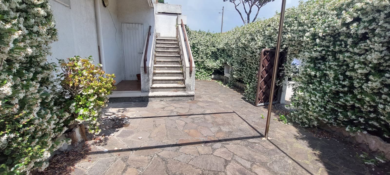 Lavinio - Via delle viole — foto 1