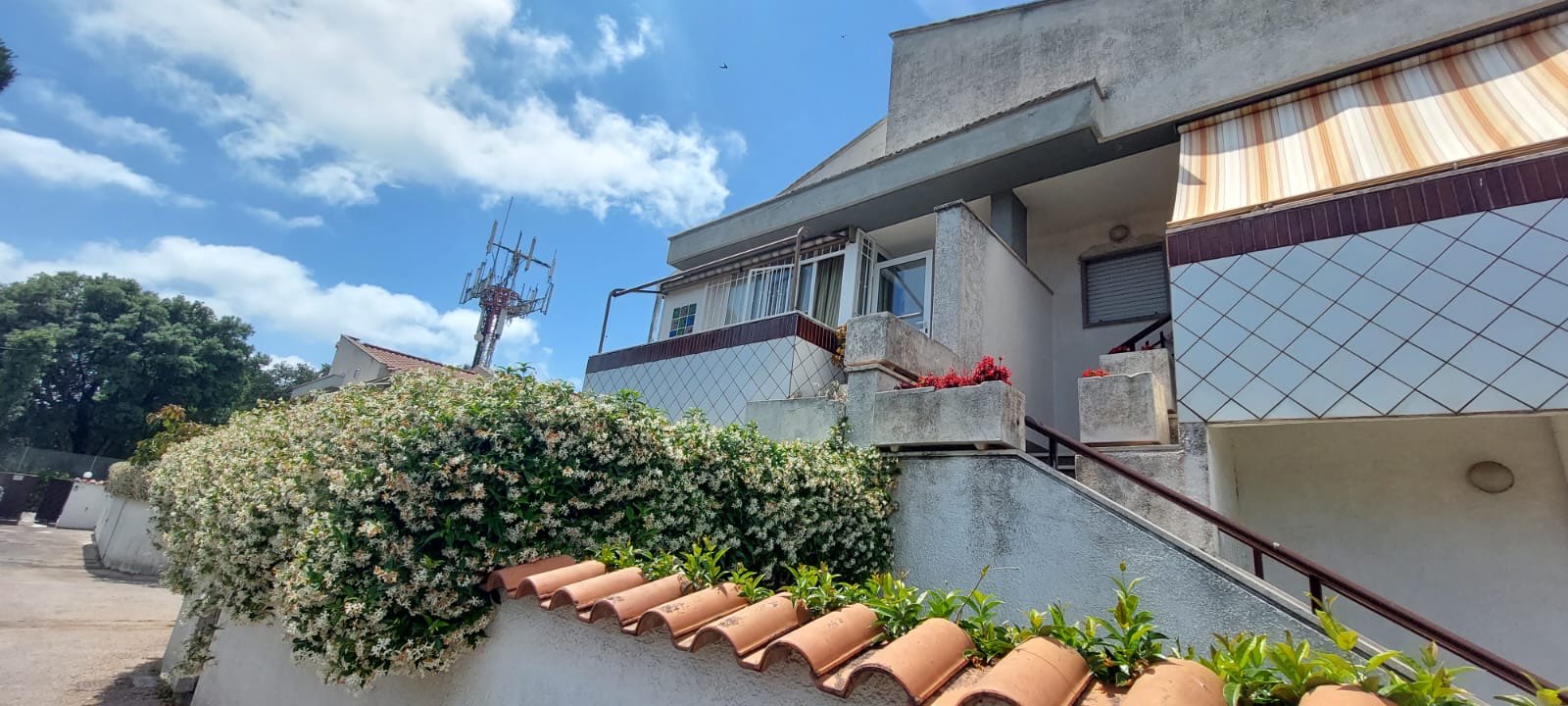 Lavinio - Via delle viole — foto 3