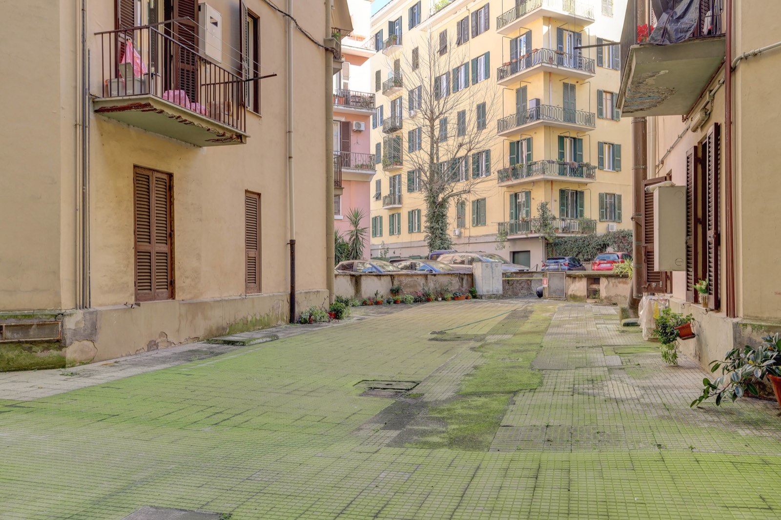 Parioli - Via G.Castellini — foto 24