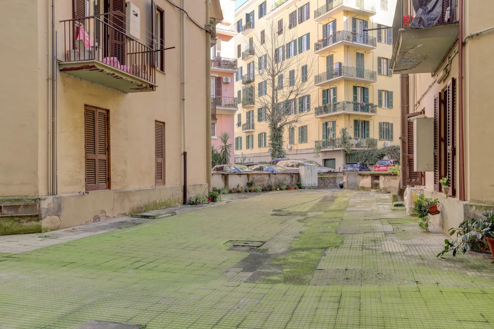 Parioli - Via G. Castellini — foto 24