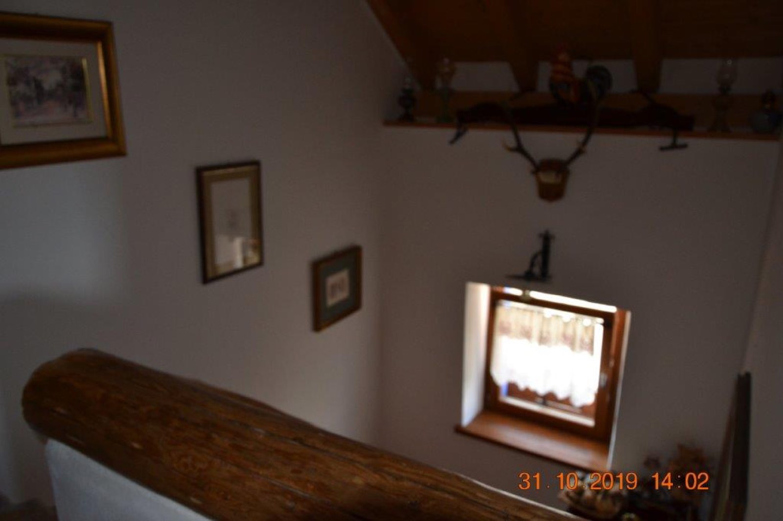 Tolmezzo Villa — foto 18