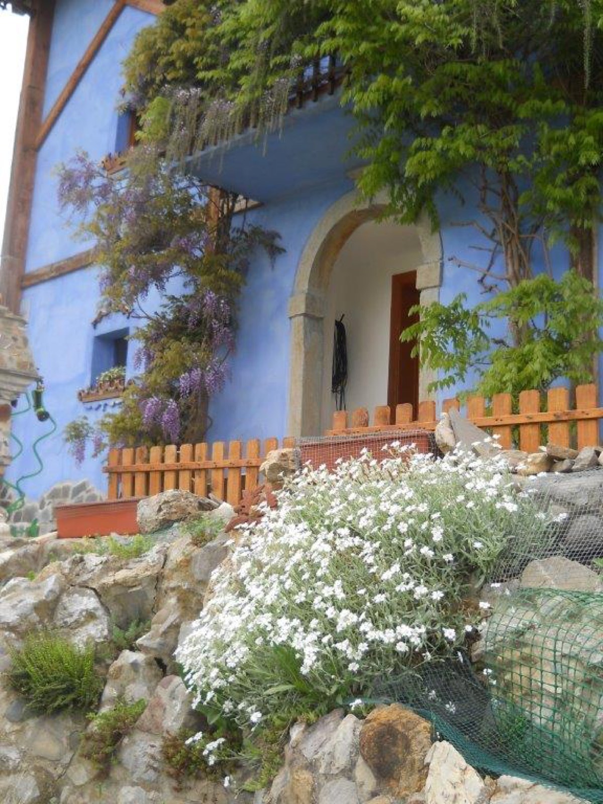 Tolmezzo Villa — foto 5