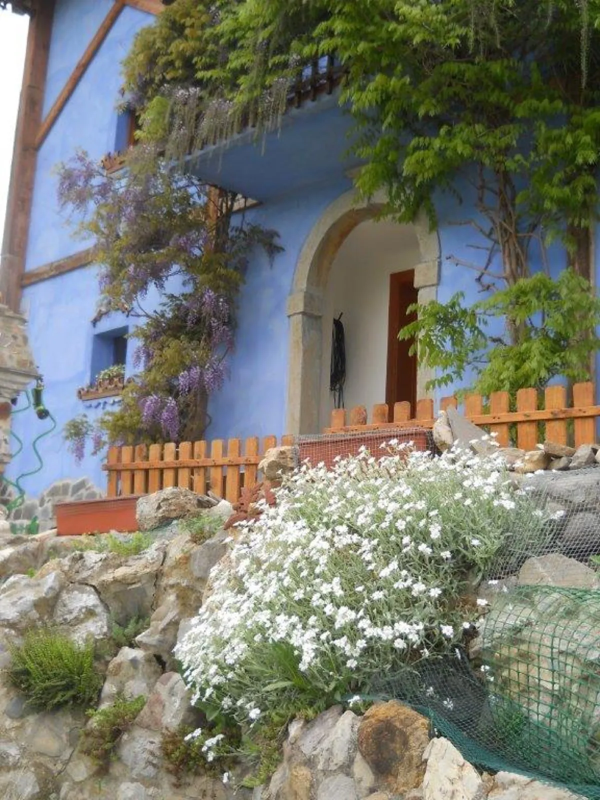 Tolmezzo Villa — foto 5