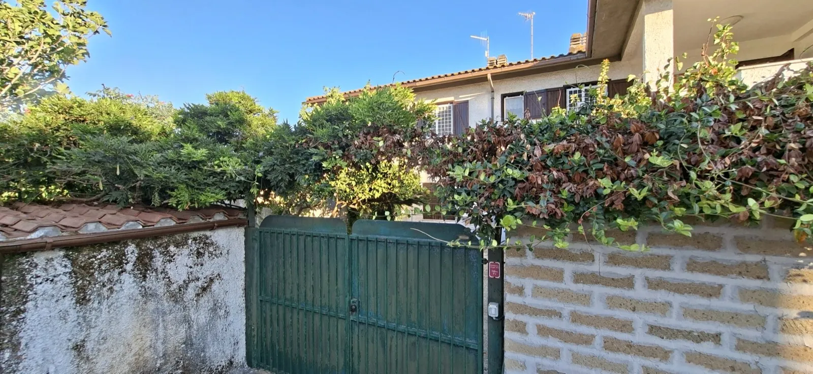 Viale Roma — foto 30