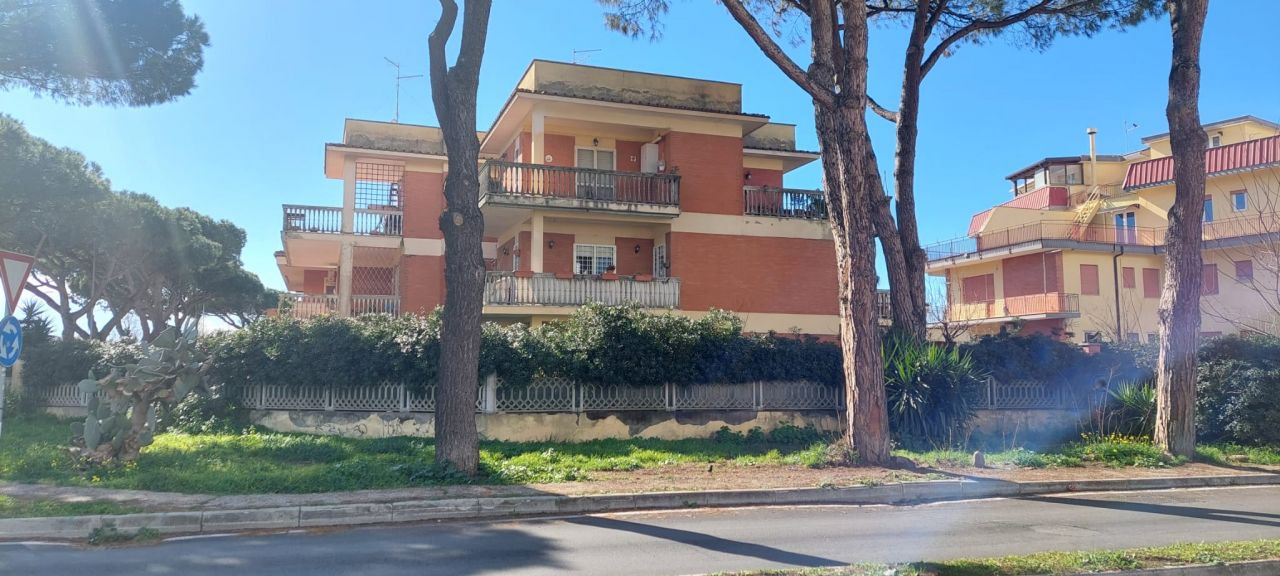 TORVAIANICA CAMPO ASCOLANO